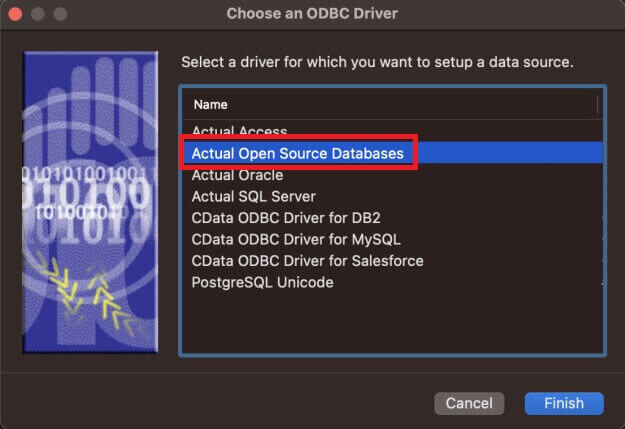 「Actual Open Source Database」を選択して、「Finish」をクリックする画面