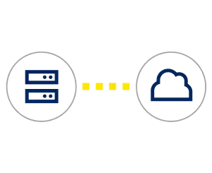 Accelerate Business Insights