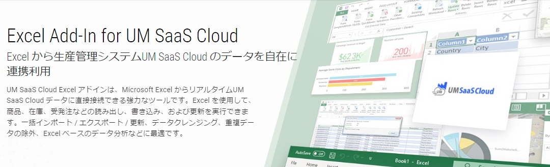 Excel Add-In for UM SaaS Cloud とは