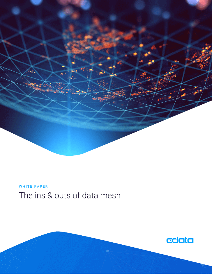 The Ins and Outs of Data Mesh